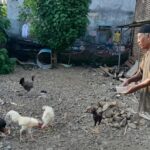 LKSLU Al-Bariyah Ponorogo picture5